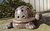 Dekofigur Tierfigur Tonfigur Gartenfigur Schildkröte aus Ton 28 cm grau No 19-28