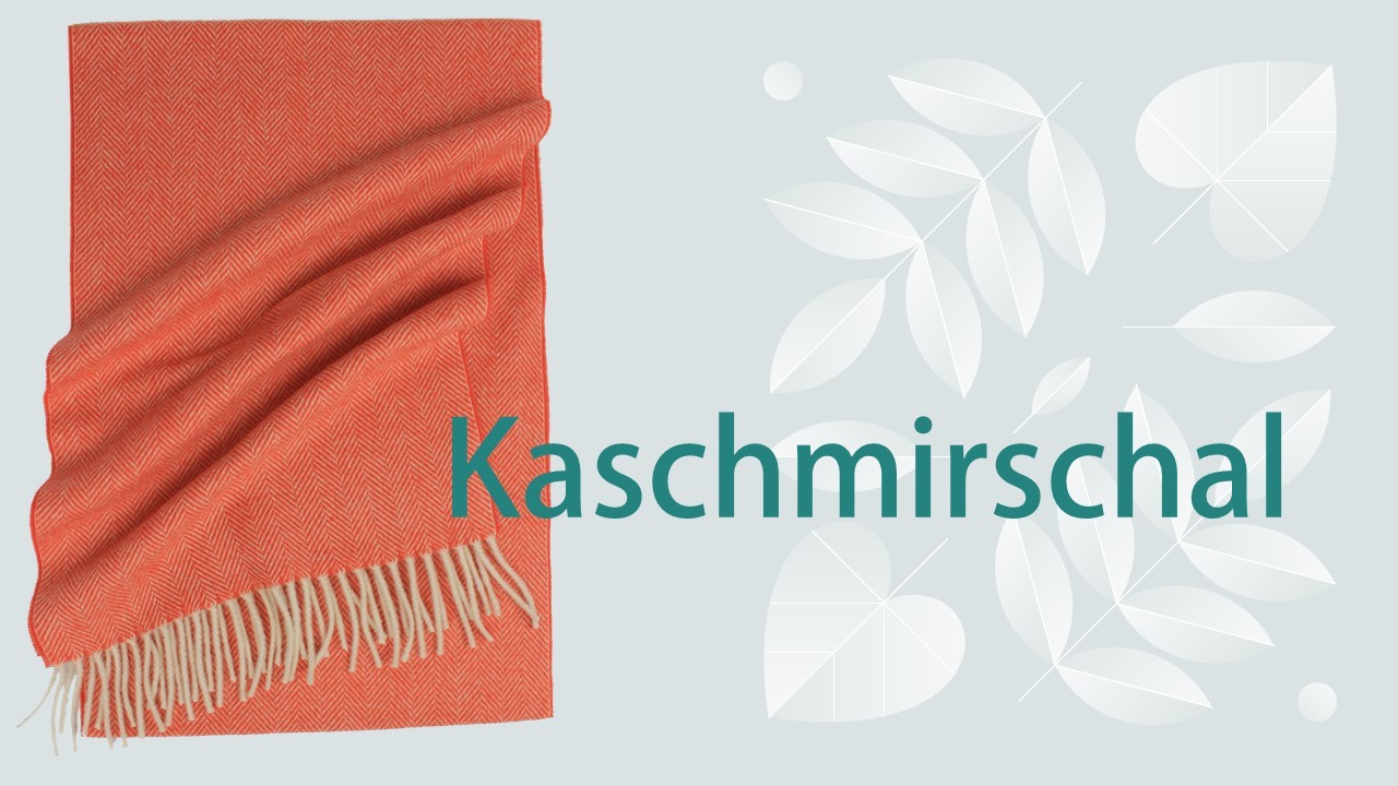 Kaschmirschal-2023