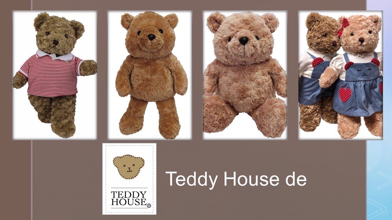 Teddy_House_de_Martie